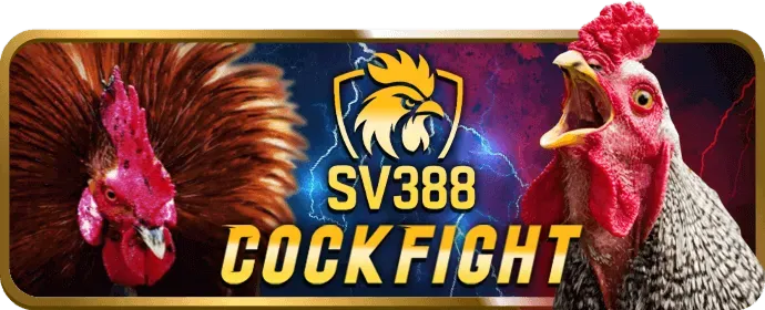 Xổ số 3in1bet